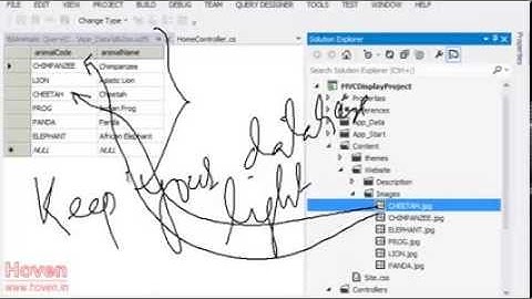 MVC Displaying Data explained with ZOO Website | MVC Training in Chandigarh
