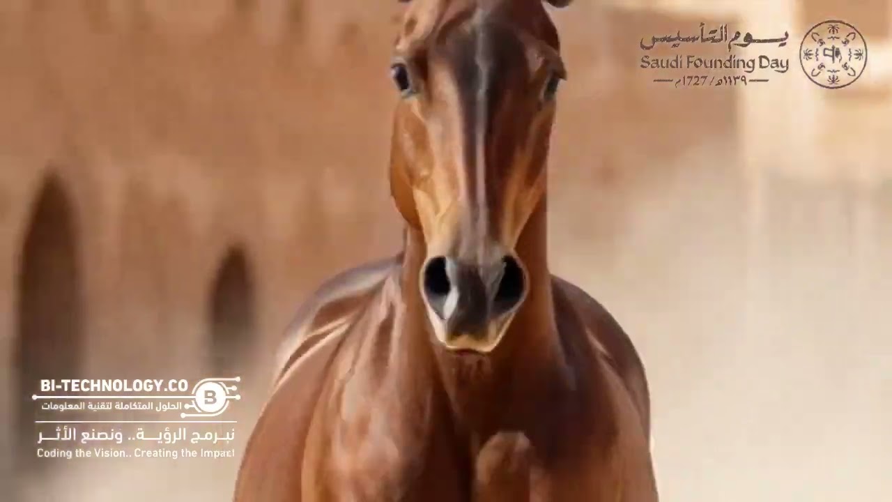 يوم التأسيس | يوم بدينا | ثلاثة قرون من العز