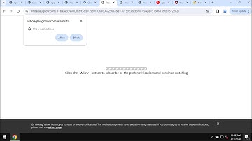 Whoaglaugnow.com push notifications removal video.