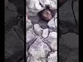 هتبقى راجل برنس لو ما اتخضيتش