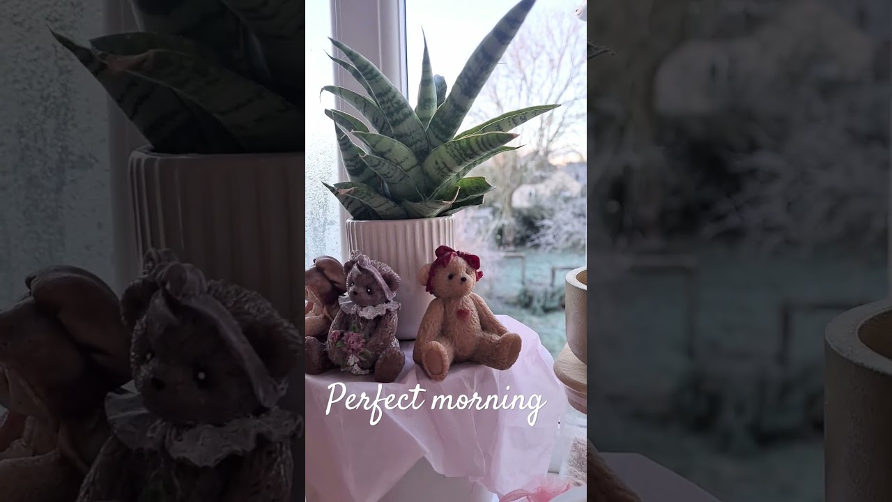 My morning spa routine 