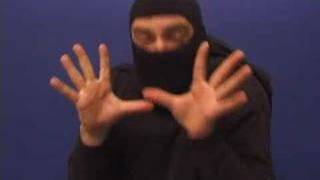 Ask a Ninja 5: Ninja Skills