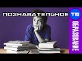 В школе СКУЧНО и ОТВРАТНО учиться. Почему? (Артём Войтенков)