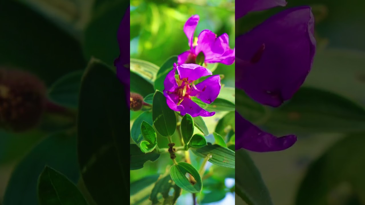 Girl Solo Living Off Grid, Build a Complete Warm Underground Dugout Home Shelter for Fortnight Stay