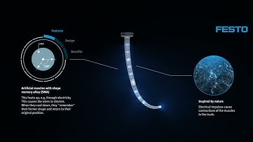 Festo – Bionic E-Trunk