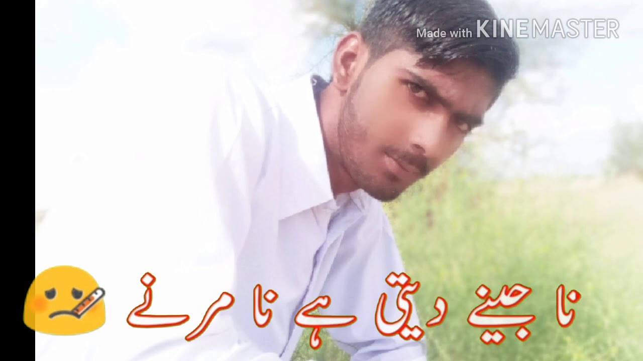 bahot said portry wahsap stutus