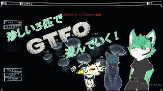 【 GTFO 】手を付けて無かったゲーム遊ぶ…！【 コラボ 】