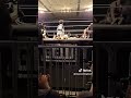 Canadian destroyer that shocked the crowd #gcwwrestling #wrestling