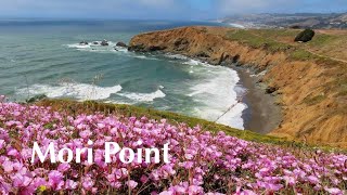 MORI POINT, Ca