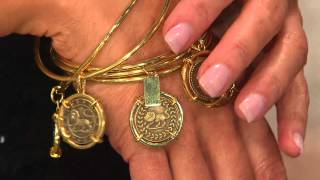 The Elizabeth Taylor Set of 5 Coin Charm Bangles with Lisa Robertson