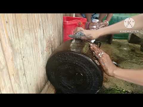 PAMPAPUTI NG KALDERO, MERON PA BA?.@turagsoybunoy-tv PAMPAPUTI NG KALDERO, MERON PA BA?.@turagsoybunoy-tv