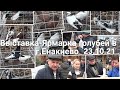 Выставка-Ярмарка голубей в г.Енакиево 23.10.21.