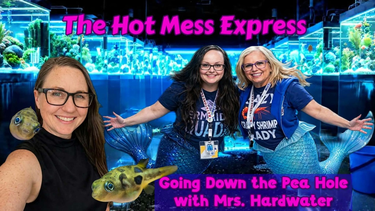 The Hot Mess Express #274 Fish Fam Hangout