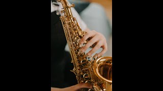 How to make video gallery introduction screenshot 5