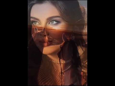 القاء الشاعره شجون .. ياوقتي اللي راح