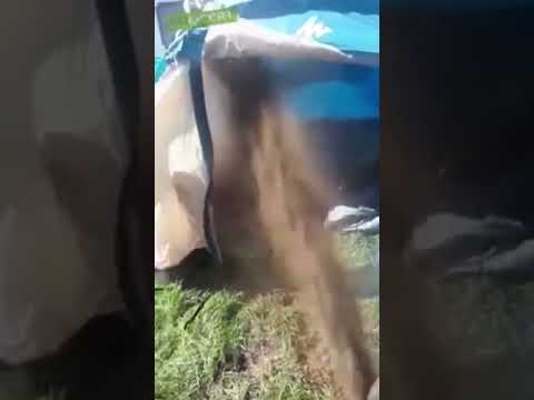 Как надо будить по утрам #авто #automobile #снегоход #offroad #эндуро #топ #видео #приколы #приколы