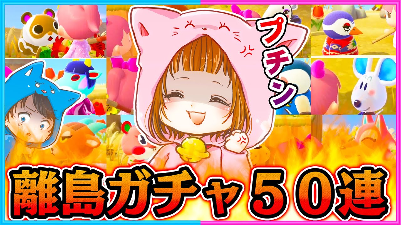 ぴの ちろ あつ 森