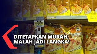 MINYAK GORENG LANGKA, BUPATI LUMAJANG SIDAK GUDANG & MINIMARKET