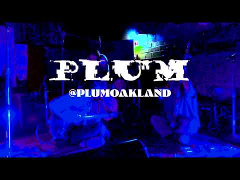 plum - live