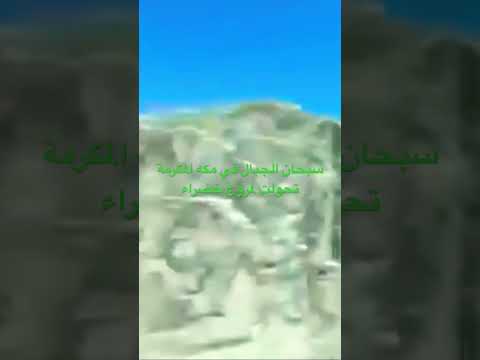 سبحان الله الجبال في طريق بين جده و مكه تحولت لمروج خضراء