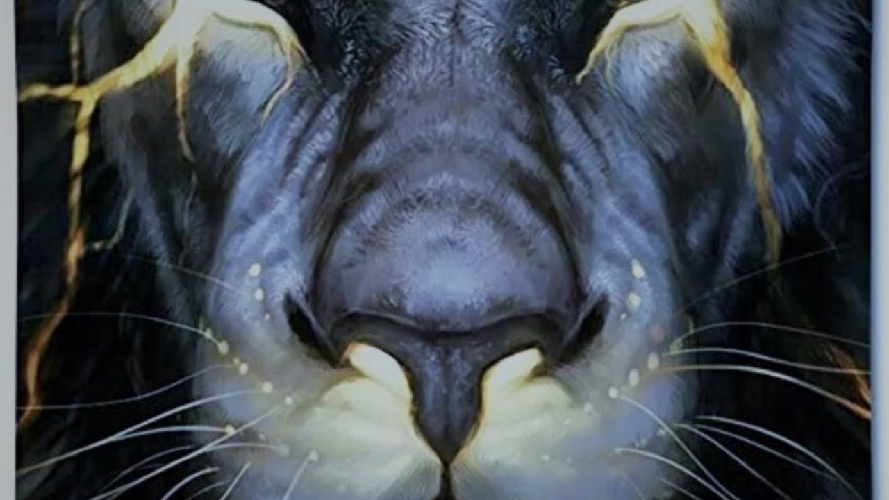 LIVE FROM THE MATRIX! AMERICAN PROTESTS! THEY TOOK THE THIRD PRECINCT