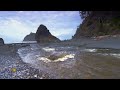 Nature: Olympic Peninsula in Washington State