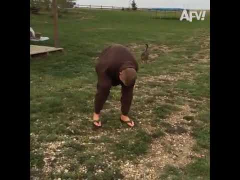 FUNNY FAILS