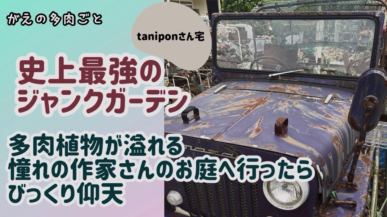 びっくりお値下げ❣️ジャンクガーデンに！　三段キャビン台多肉植物などディスプレイに The greatest junk garden in history ☆ I was absolutely amazed