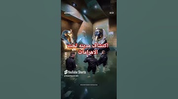 #قرآن #أطمئن #اكسبلور #قران كريم #funny #المصحف #animals #ضحك #تيك توك #duet