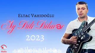 Eltac Vahidoglu ( gitara) Ay dili dilaver toy mahnisi 2023 Resimi