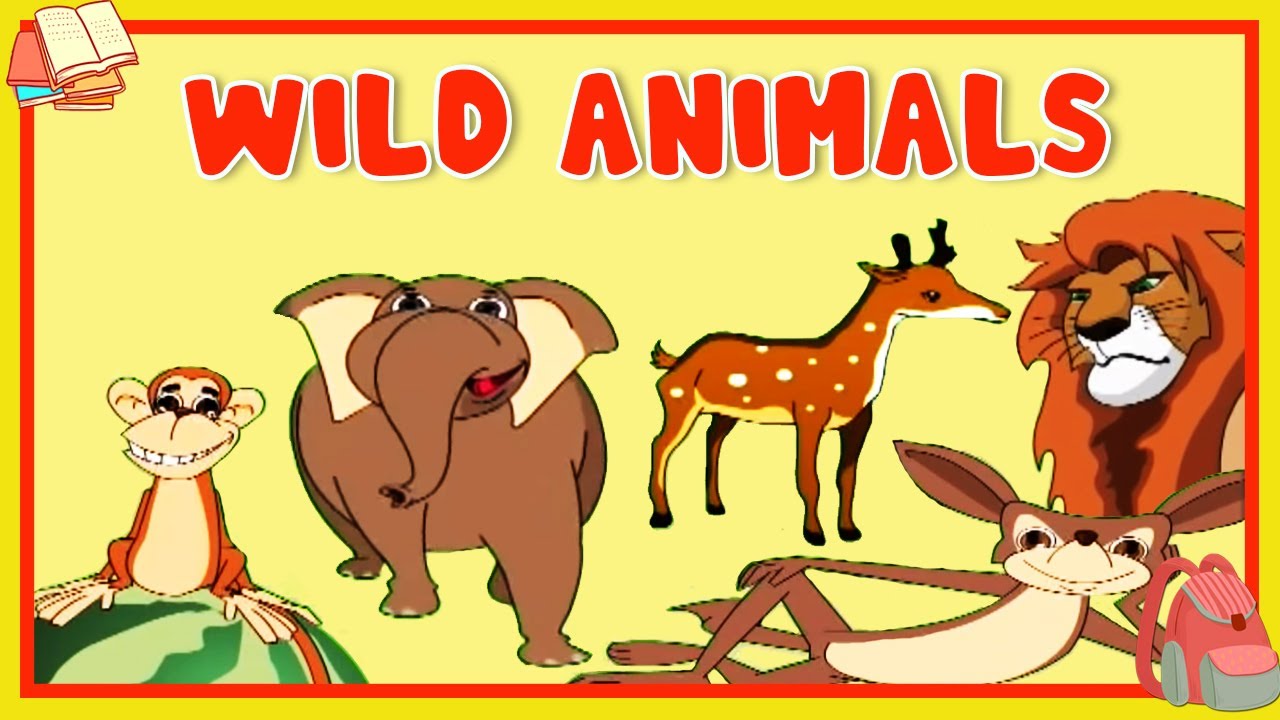 Learn About Wild Animals - Preschool Learning For Kids - Educational Video  For Children - YouTube