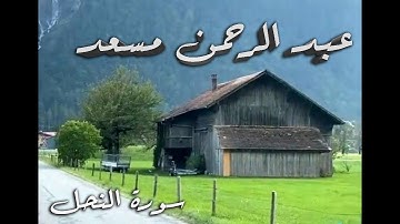 عبد الرحمن مسعد من سورة النحل 4 دقائق | تلاوة هادئة للقلب 💚