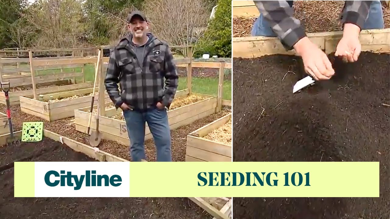 Seeding tips for successful spring gardening - YouTube