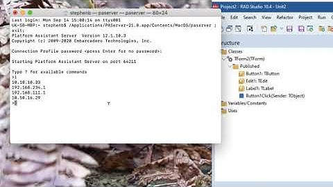 Setting up, running and debugging your first MacOS application from Delphi