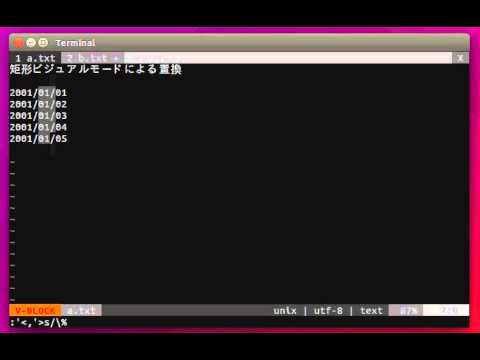 vim 矩形ビジュアルモードでの矩形選択領域でのパターン置換の方法