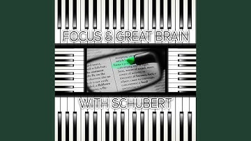 String Quartet No. 11 in E Major, Op. 125, D. 353, No. 2: III. Menuetto - Allegro vivace