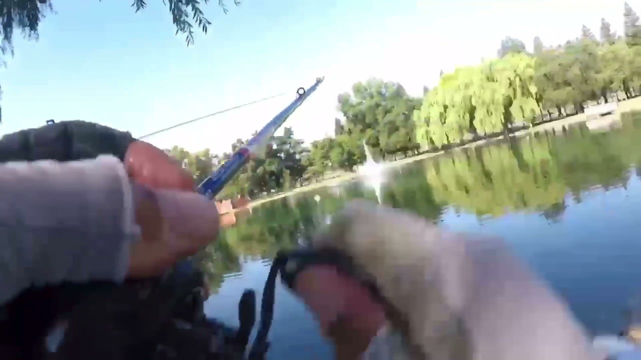 DeSax Fishing (Trailer)