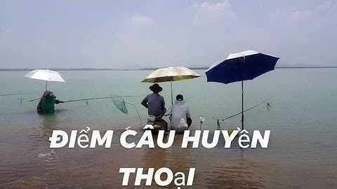 Mùa này câu cá ở đâu _ điểm câu cá hồ dầu tiếng Tây Ninh chưa bao giờ hết cá @caudaotv7173
