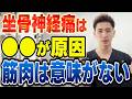 【内臓の真実】医者も手を上げる坐骨神経痛は内臓で良くなります
