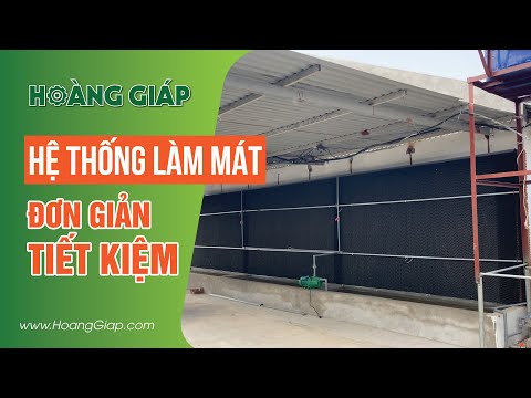 Video: Cách thông gió trong chuồng gà: nguyên lý thiết bị và cách lắp đặt