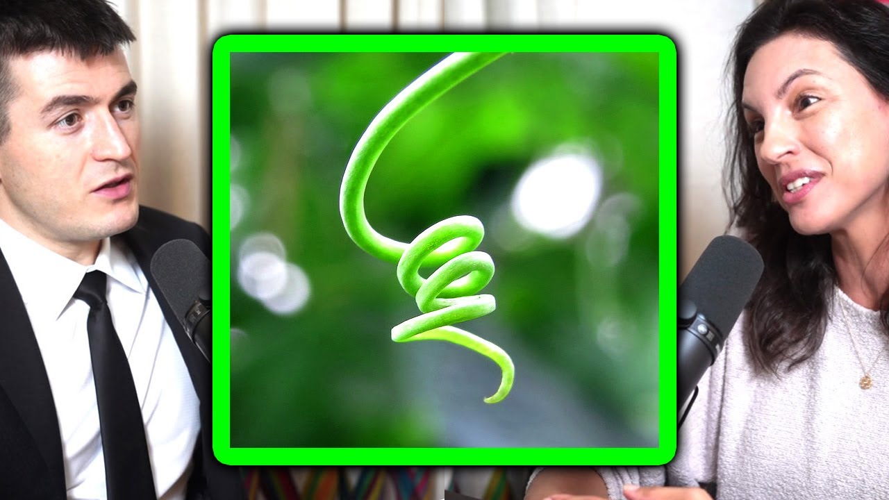 Do plants have consciousness? Annaka Harris and Lex Fridman YouTube