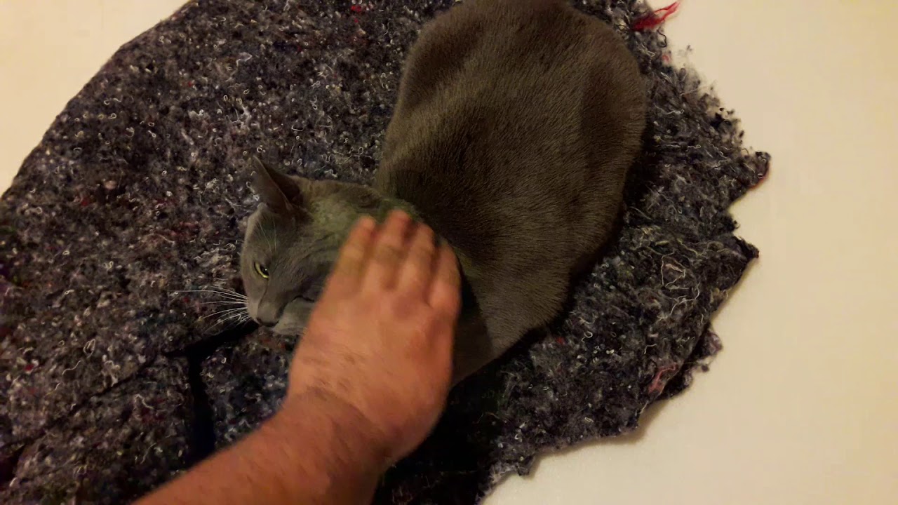 РЕМОНТ СТАЛКЕРСКОЙ ХАТЫ!!! ДЕЛАЮ ОБИВКУ И ОБНАЛИЧКИ ДВЕРЕЙ....ЧАСТЬ #3 ...