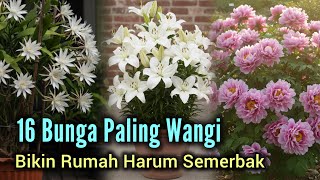 Download Lagu 16 Bunga Paling Wangi yang Bisa Bikin Rumah Harum Semerbak MP3