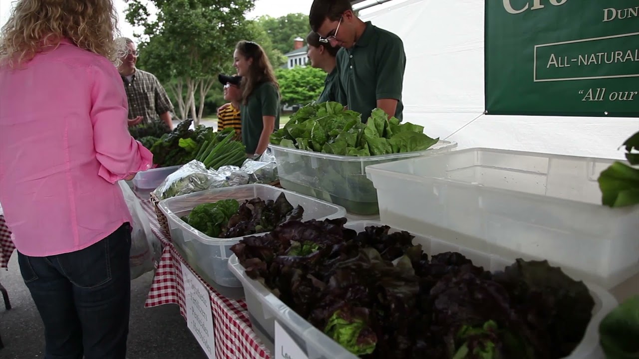 Tour of Holly Springs, North Carolina