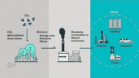 Carbon Dioxide Removal