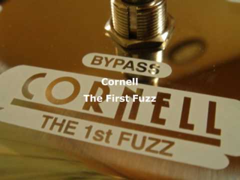 Cornell The 1st Fuzz