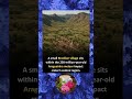 A small Brazilian village sits within the 250-million-year-old Araguainha meteor impact crater's