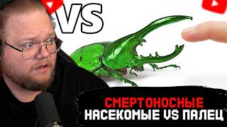 T2x2 WATCHES: Deadliest insects VS finger