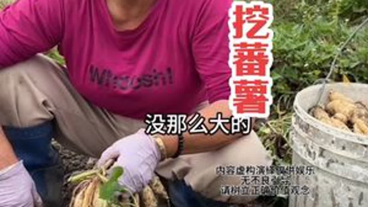 挖蕃薯 那个阿美给她就算了还跟小丽说～😂#看土味视频品百味人生 #内容演绎仅供娱乐