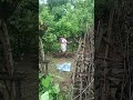 80-year-old woman from  curchorem GOAcontinues to put in effort to cultivate her land for veg plant